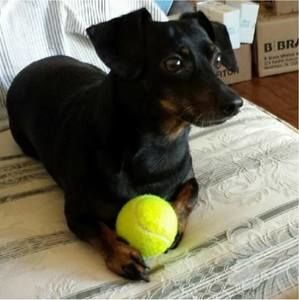 Meet your Posher, Timothy